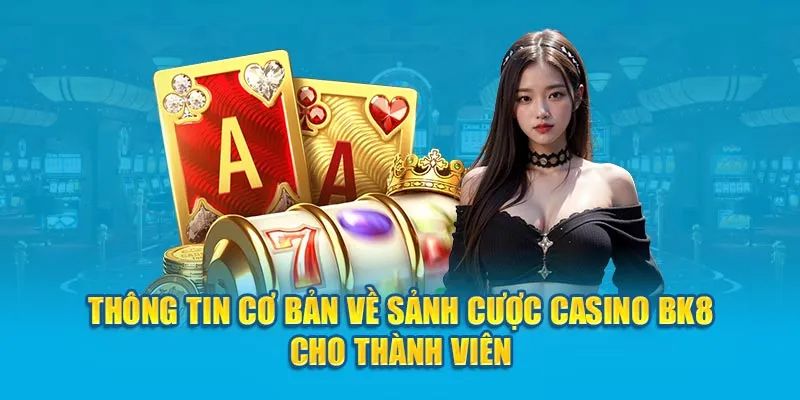 Giới thiệu tóm lược về casino BK8