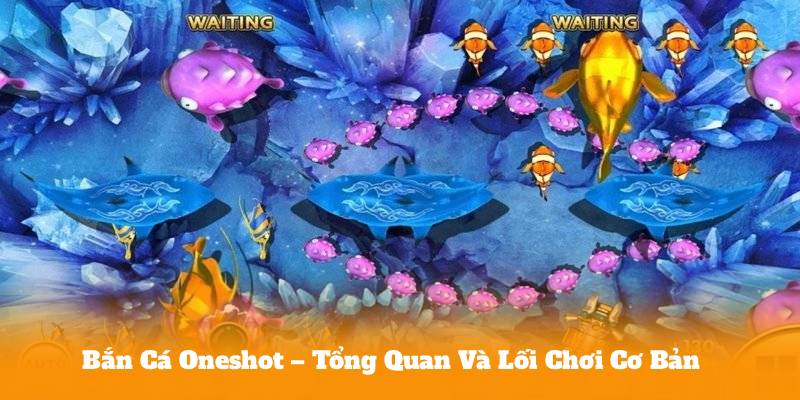 Bắn Cá Oneshot – Tổng Quan Và Lối Chơi Cơ Bản